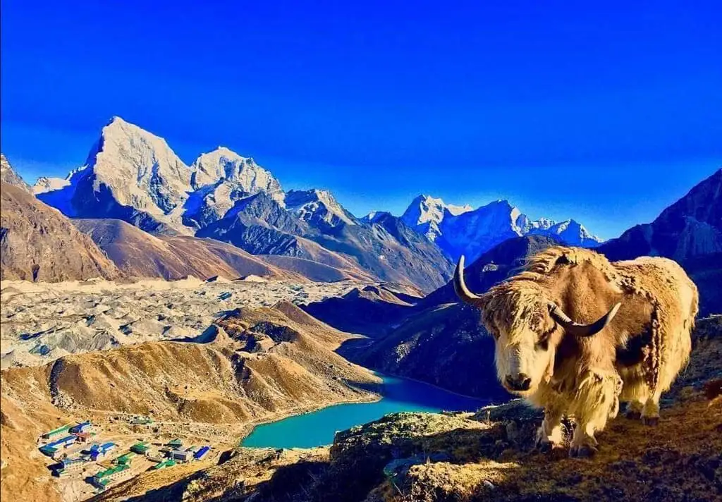 Gokyo Renjola Pass Trek
