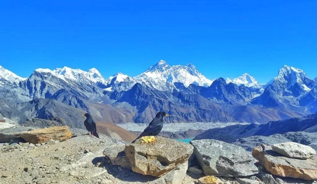Kongma la and Cho La Pass Trek
